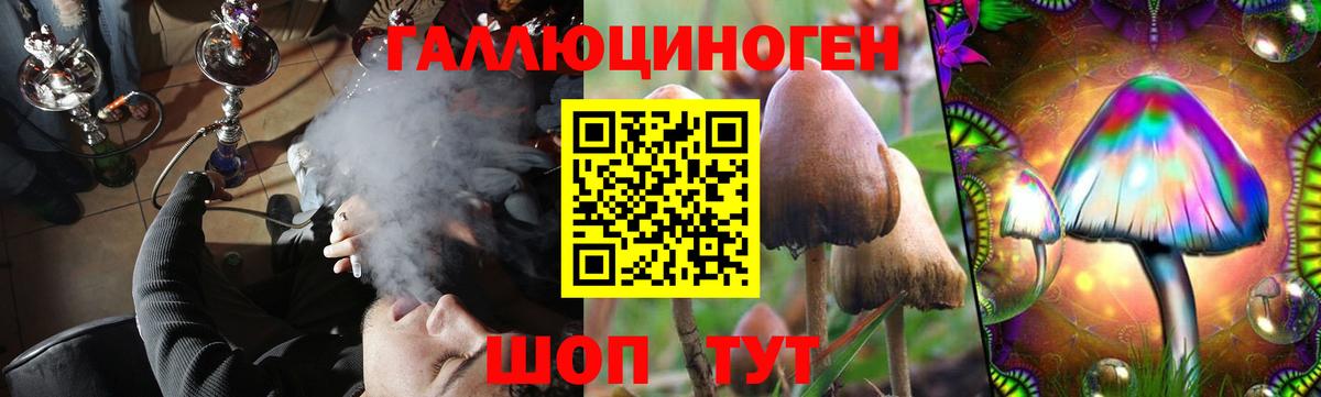 Балтийск  Псилоцибиновые грибы GOLDEN TEACHER  Вход с VPN  Псилоцибиновые грибы ЛСД 